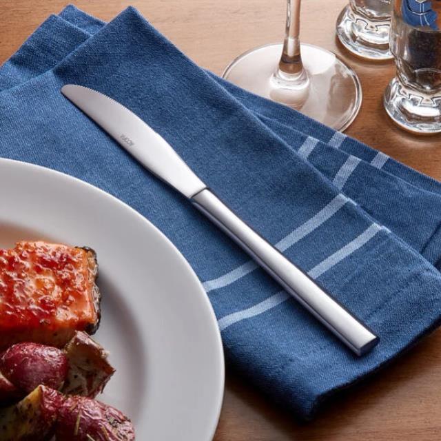 Where to find STAINLESS STEEL DINNER KNIFE 10 in Cary